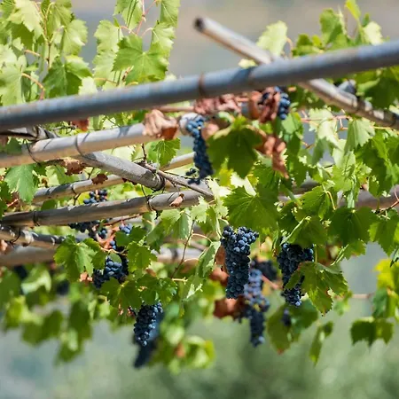 Le Capanne Di Margherita *